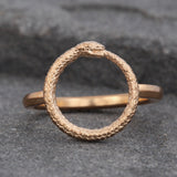 The Ouroboros Ring