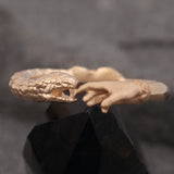 The Protection Ring