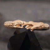 The Protection Ring