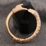 The Protection Ring