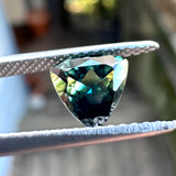 1.07ct Trillion Parti Sapphire