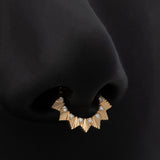 Arc Plume Septum Ring