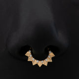 Arc Plume Septum Ring