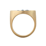 Salt and Pepper Marquise Diamond Signet Ring 14K Yellow Gold