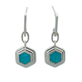 Armenian Turquoise Marg's Ripple Earrings 14K White Gold