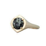 Yuba Granite Signet Ring in 14K Yellow Gold