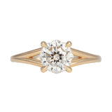 Hazel Ring Setting