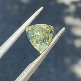 0.90ct Lemony Rock Creek Trillion Sapphire