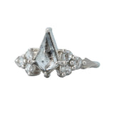 0.99ct Salt and Pepper Diamond Juniper Ring 14K White Gold