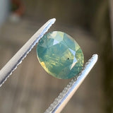 1.04ct Green Opalescent Oval Sapphire